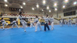Dhrupad enjoys Taekwondo