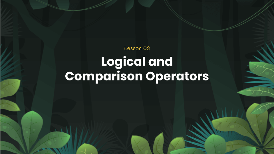 Python coding lesson 3