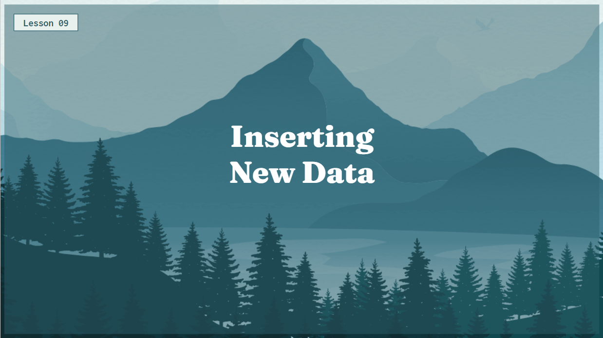 Application Programming Interfaces Lesson 9
