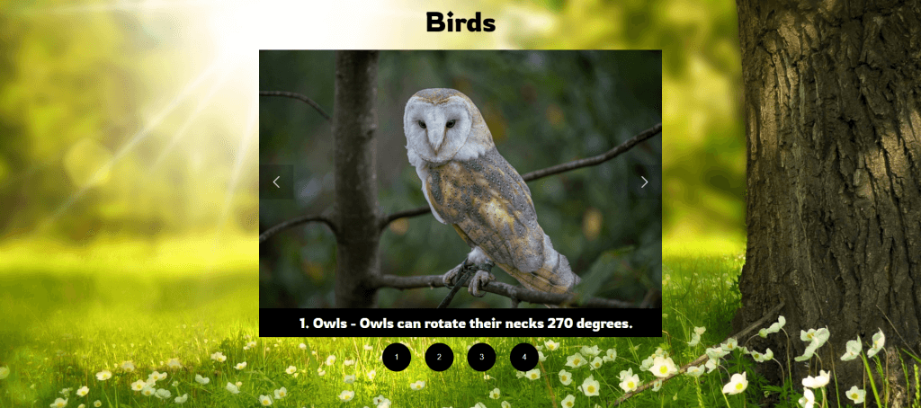 js project for kids slider